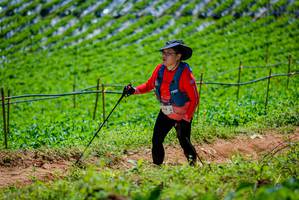 BIB: 
                            <button type="button" onclick="openModal(19164712)" class="btn btn-primary btn-sm float-right btn-popup" data-toggle="modal" data-target=".modal-high-quality">
                        <i class="fas fa-shopping-cart"></i> Add to Cart
                    </button>
                                            <button type="button" onclick="isThisMe(19164712, true)" class="btn btn-success btn-sm float-right btn-popup btn-isme hidden" data-toggle="tooltip" data-placement="bottom" title="นี่คือรูปของคุณใช่ไหม คลิกที่นี่เพื่อเอาเข้าอัลบั้ม">
                        <i class="fas fa-plus"></i> Add to album
                    </button>
                    <button type="button" onclick="isThisMe(19164712, false)" class="btn btn-warning btn-sm float-right btn-popup btn-isnotme hidden">
                        <i class="fas fa-ban"></i> Remove from album
                    </button>